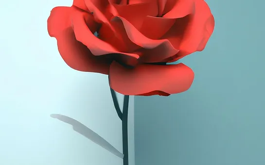 Radiologie numérique 2D et 3D